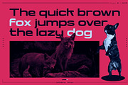 Raitor - Futuristic Display Fonts, a Sans Serif Font by Ian Irwanwismoyo (Thumbnail 11 of 14)