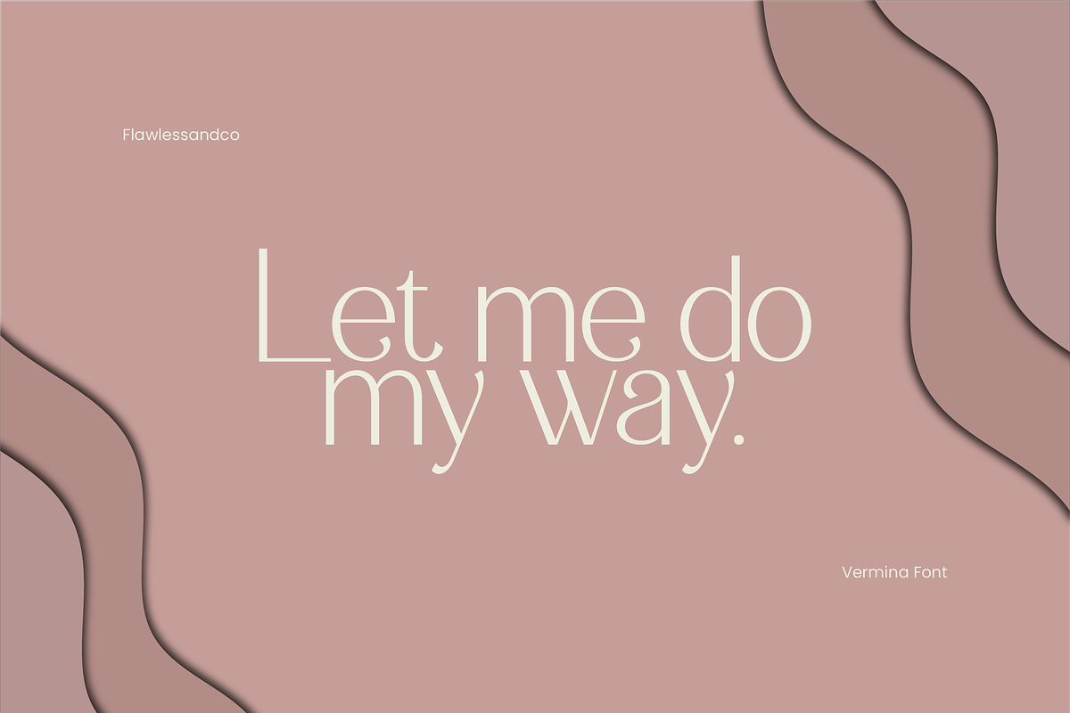 Vermina - Alternate Sans Serif, a Sans Serif Font by Flawless And Co (Photo 5 of 10)