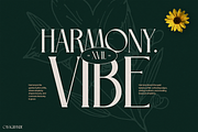 Casagrande, a Serif Font by Pinisi ART (Thumbnail 3 of 10)