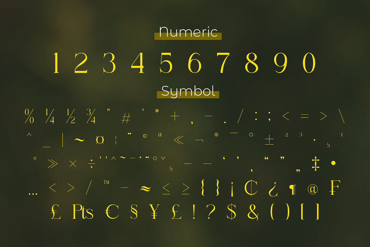 Gistabon, a Serif Font by Rishsketch (Photo 11 of 13)