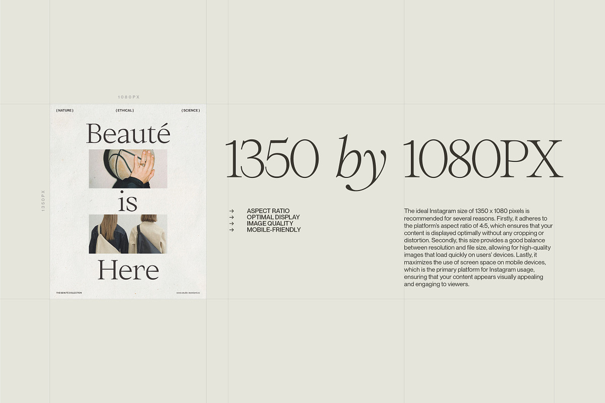 BEAUTÉ | Social Media Kit, a Social Media Template by Studio Standard (Photo 6 of 12)