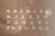 Famylia Holistika Hand Drawn Script, a Script Font by Denustudios (Thumbnail 10 of 14)