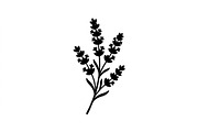 Lavender Stem Silhouette Collection, an Object Graphic by Creativeshirt (Thumbnail 2 of 3)