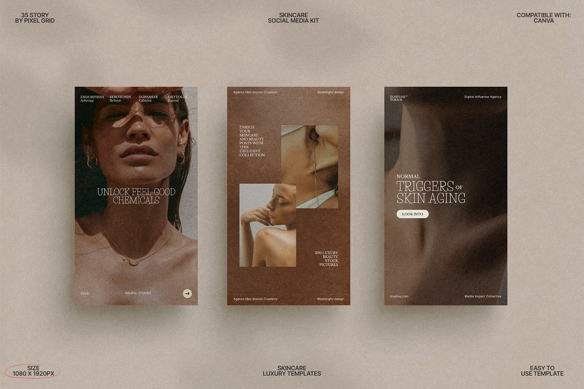 Elegant Story Templates for Skin preview 4