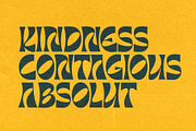 Barbra Display, a Font by nurrontype (Thumbnail 8 of 15)
