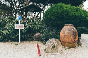 Decorative disabled parking spot, a Transportation Photo by SkyNext