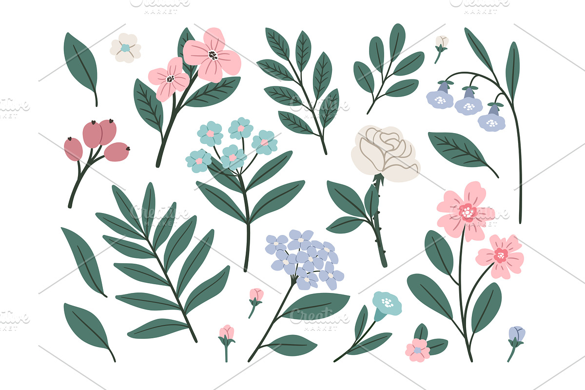 Collection of delicate flowers and, an Object Illustration by Stock-Smart-Start