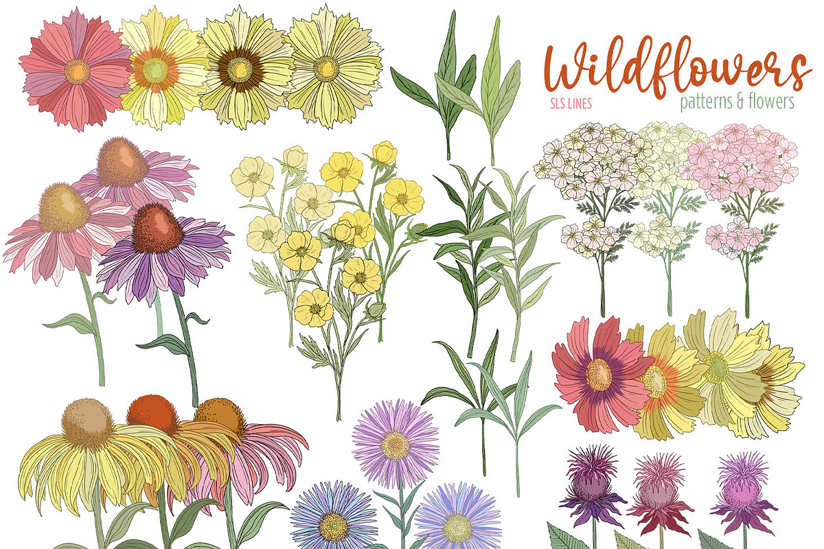 Wildflowers Clipart Flower Graphics, a Decorative Illustration by SLS Lines (Photo 4 of 6)