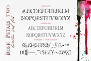 Rose Petals. Font duo + Bonuses., a Script Font by Red Ink (Thumbnail 10 of 13)