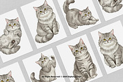 15 Bundle Watercolor Grey Cats Pet, an Animal Illustration by Morspective (Thumbnail 10 of 15)