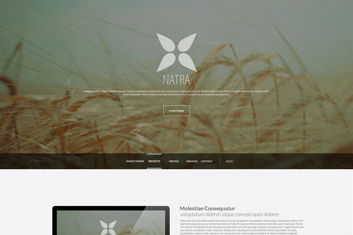 Multipurpose One-Page PSD Template, a Landing Page Template by Dqa (Photo 2 of 3)