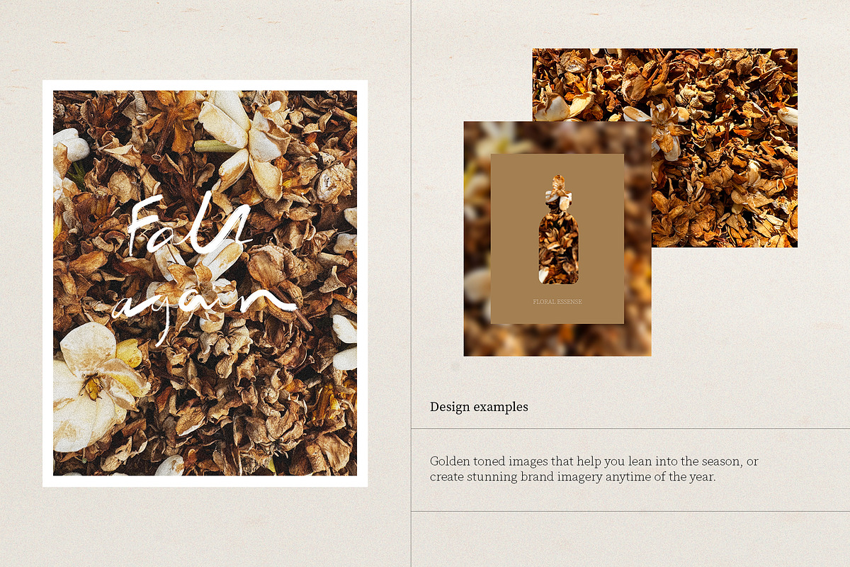 Harvest Rituals | Autumn Images, a Background Photo by bron.alexander (Photo 5 of 12)