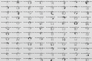 240 Curly Hair Procreate Stamps, a Brush Add-On by Selentaori Studio (Thumbnail 3 of 12)