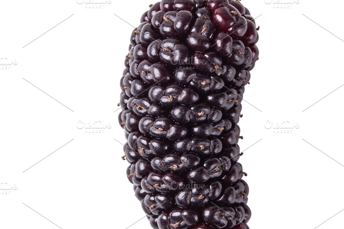 All Fruits Bundle Master Collection, a Food & Drink Photo by FlyeredTemplate (Photo 2 of 130)