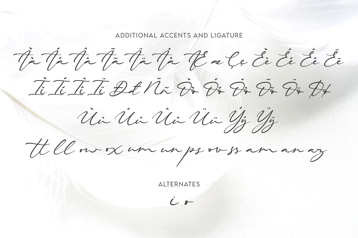 Beautiella - Casual Signature Script, a Script Font by Almarkhatype (Photo 9 of 10)