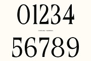 CS Belong – Contemporary Font, a Serif Font by Craft Supply Co. (Thumbnail 5 of 8)