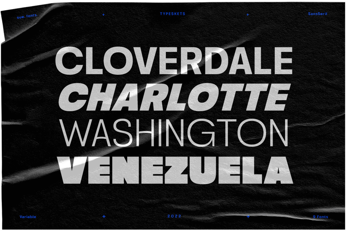 Sue - Variable & Family Sans Serif, a Sans Serif Font by Typeskets (Photo 6 of 13)