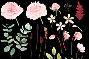 Watercolor peony and eucalyptus, a Decorative Illustration by marie dricot (Thumbnail 9 of 11)