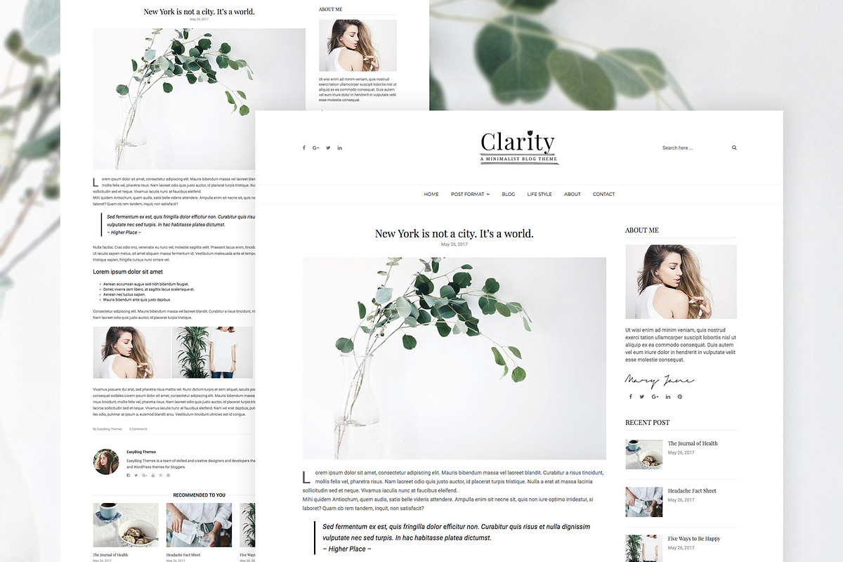Clarity - Minimal WordPress Theme, a WordPress Template by EasyBlog Themes (Photo 5 of 5)