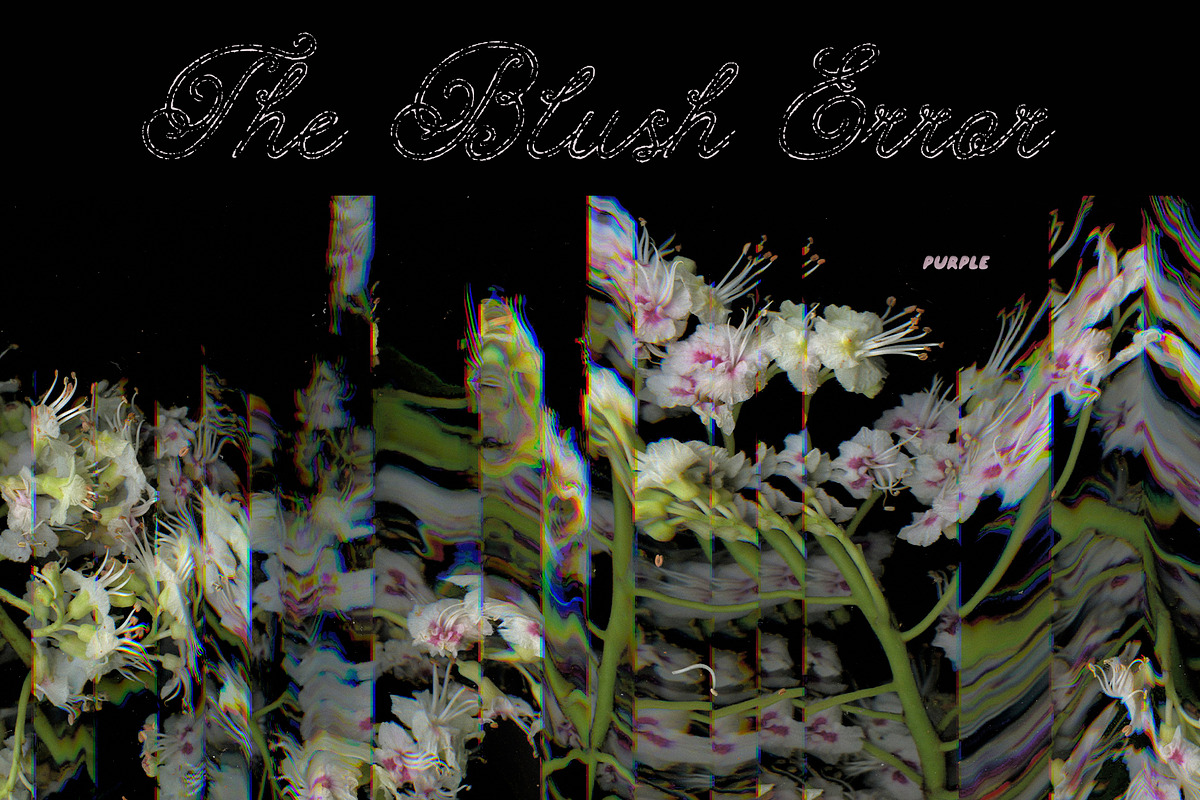 The Blush Error - Floral Backgrounds, a Wallpaper Graphic by Purple (Photo 11 of 12)