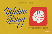 Delphin Spring - Vintage Script, a Script Font by Konstantine Studio (Thumbnail 1 of 9)