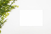 Modern Mockup, Clean Mockups, a Background Photo by BlueBooks (Thumbnail 9 of 14)