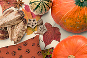 Autumn Props & Mock Ups, a Product Mockup by JSquarePresents (Thumbnail 6 of 11)