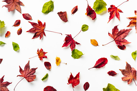 Top view of bright autumn leaves on, a Nature Photo by Yummypic