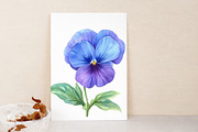 Watercolor Pansy Flowers Clipart, an Illustration by Libby Wishes (Thumbnail 3 of 7)