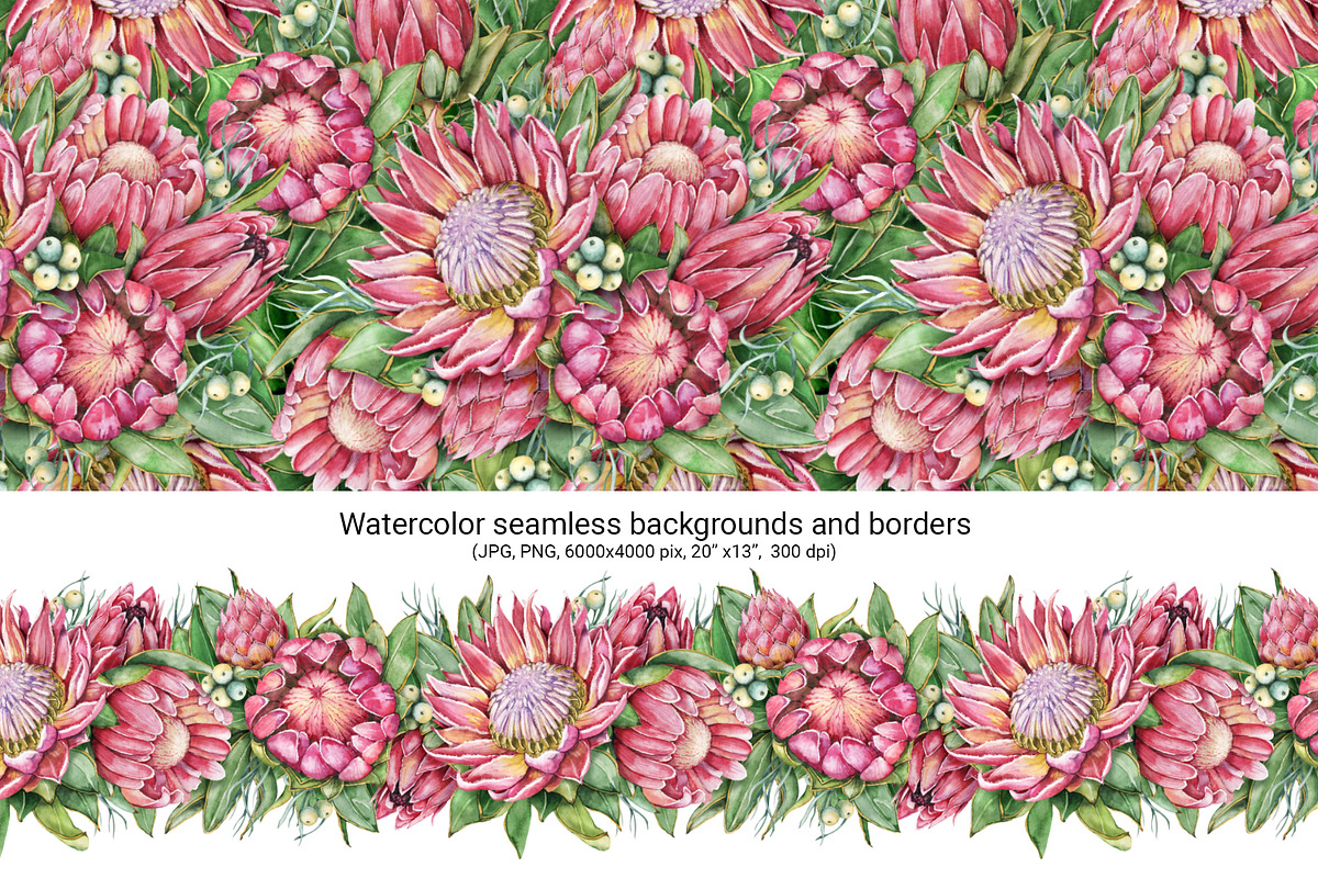 Watercolor protea flower set, an Illustration by Artmanata (Photo 7 of 18)