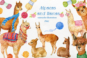 Alpacas And Llamas .watercolor