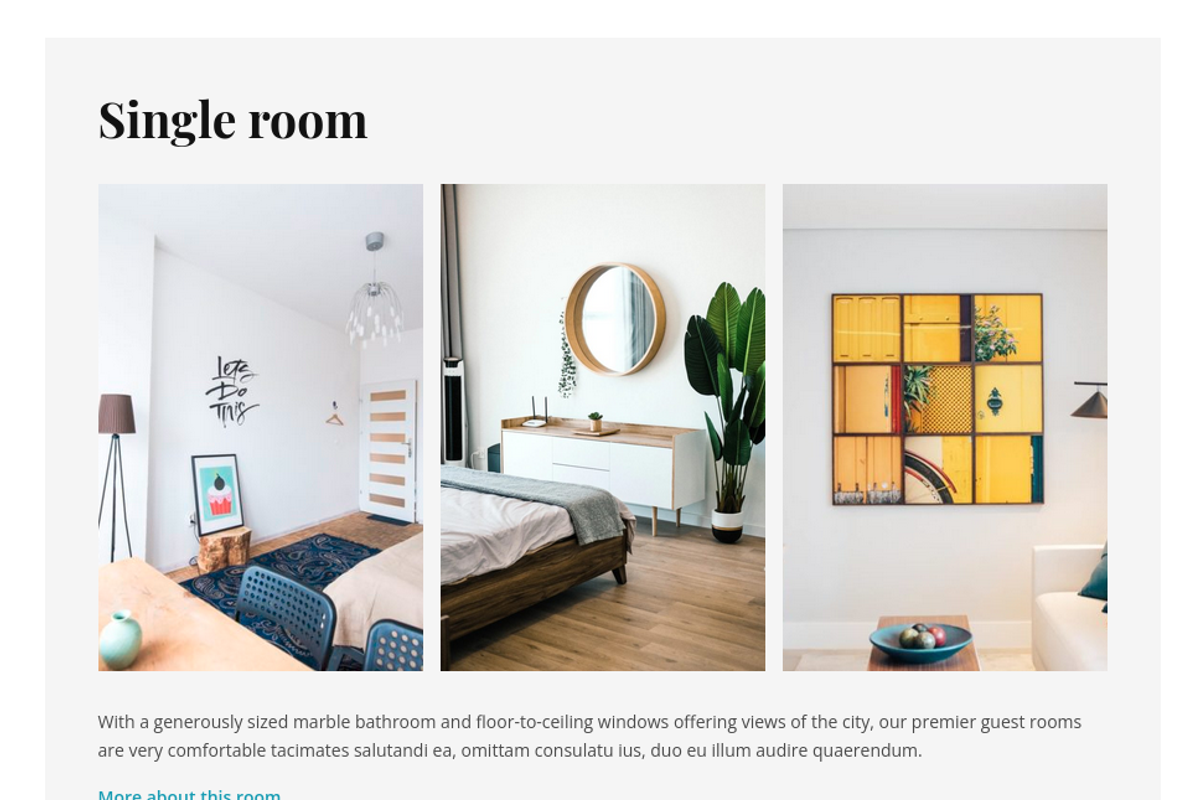 Balena - Booking WordPress Theme, a WordPress Template by Liviu Cerchez (Photo 3 of 4)