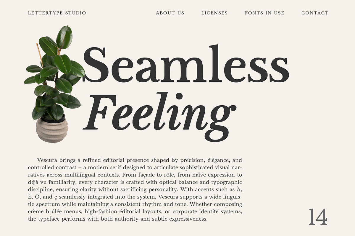 Vescura Serif Family | Intro 50% OFF, a Serif Font by Lettertype Studio (Photo 3 of 15)