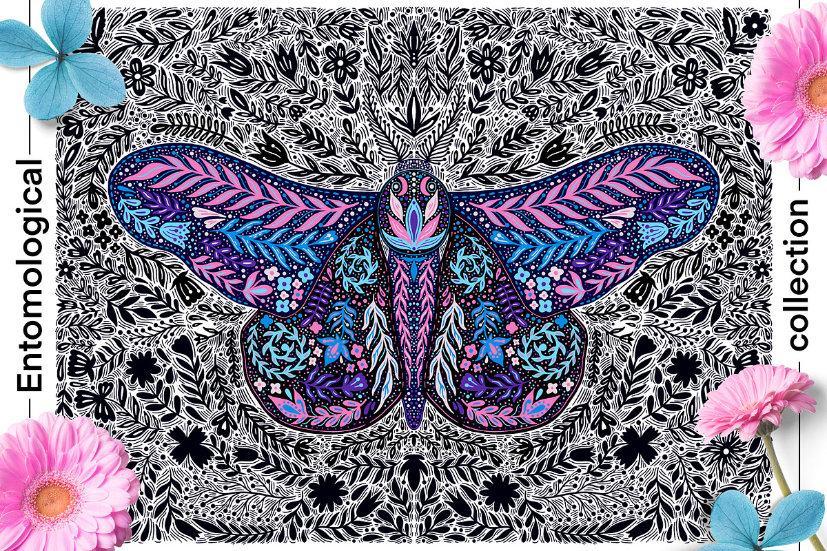 Entomological collection insect, a Decorative Illustration by Moonflora (Photo 3 of 13)