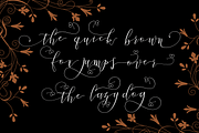 Bettha Bottle, a Script Font by Deniz86 (Thumbnail 12 of 14)