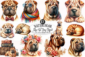 Shar-Pei Dog Watercolor Clipart, an Illustration by Designking