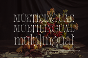 Meal - Serif Display Family, a Serif Font by Holyline Design (Thumbnail 14 of 15)