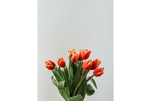 Bunch of red tulip on neutral, a Holiday Photo by Fascinadora