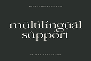 Richy - Unique Chic Font, a Serif Font by Sensatype (Thumbnail 13 of 21)