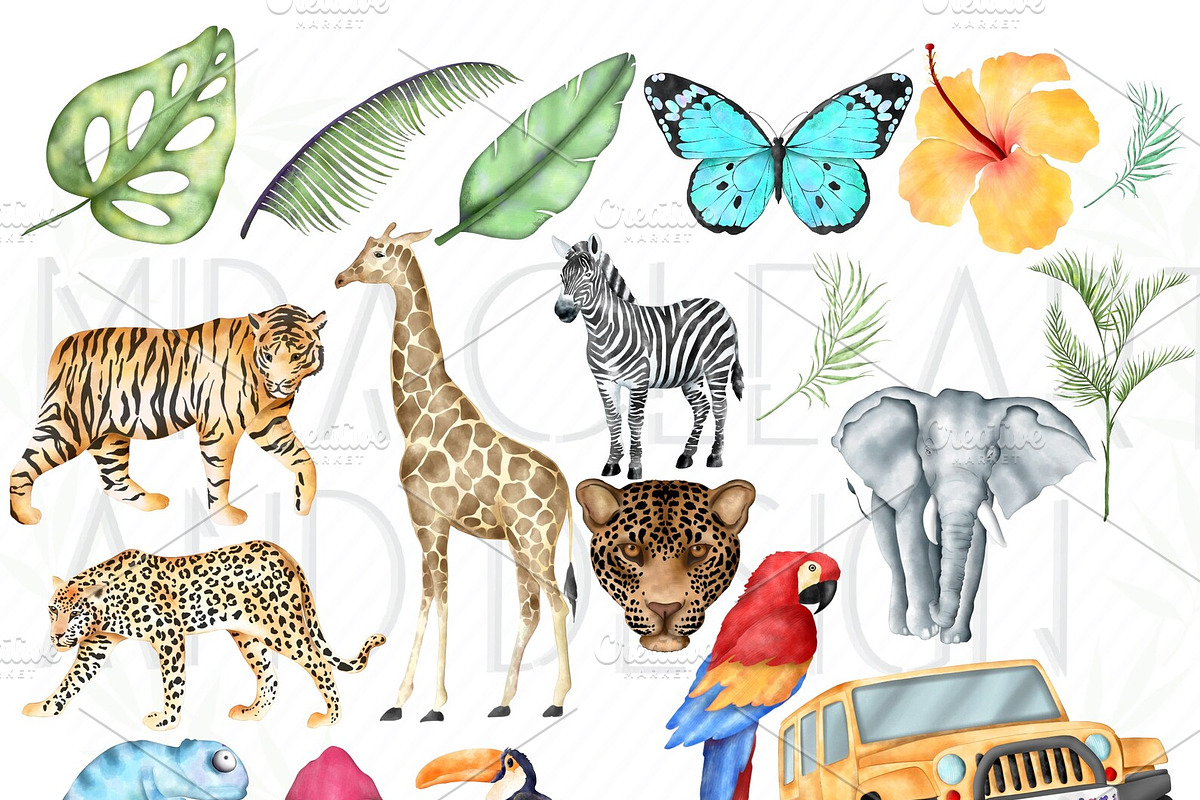 Watercolor Summer Safari Clipart Set, an Animal Illustration by MiracleArtAndDesign (Photo 2 of 3)