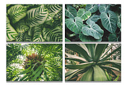 Botanical background bundle 20 jpg, a Nature Photo by WildStrawberry Magic (Thumbnail 4 of 6)