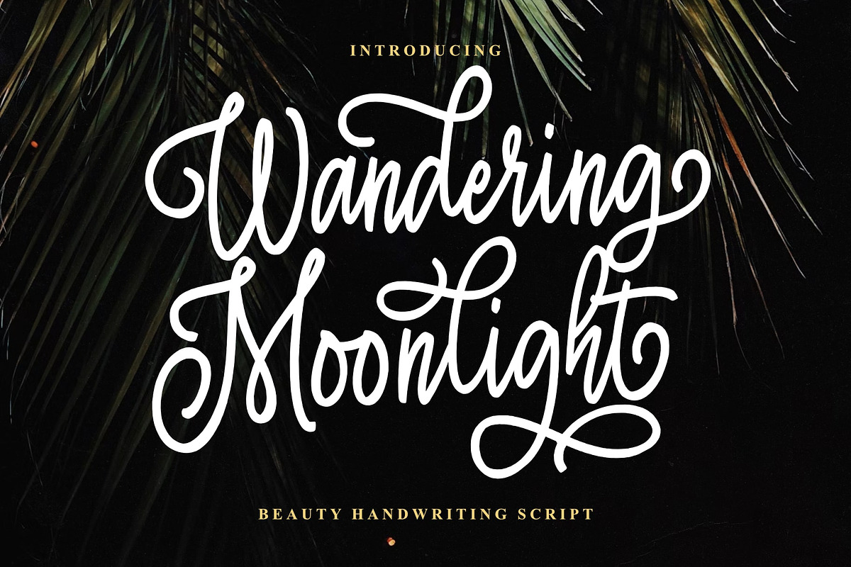 Wandering Moonlight, a Script Font by Damarletter (Photo 1 of 5)