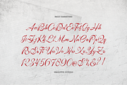 Tanya Kata | Handwritten Script, a Script Font by gracetype_studio (Thumbnail 10 of 12)