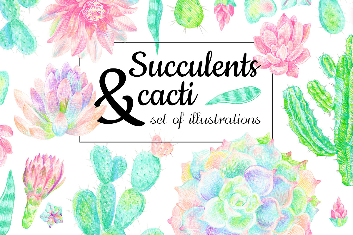 Succulents and cacti in PNG, a Decorative Illustration by Art by Lady Natali (Photo 1 of 3)