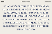 Biarritz Luxury Editorial Serif, a Serif Font by Genilson Santos (Thumbnail 11 of 17)
