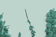 Azure Pressed Botanical PNG Pack, an Object Graphic by Custom Scene (Thumbnail 5 of 8)