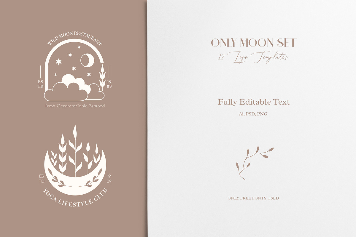 ONLY MOON SET, a Branding & Logo Template by Luna Dreams (Photo 4 of 7)
