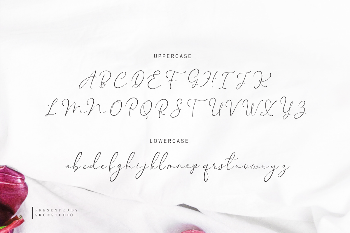 Mellody - Lovely Script preview 7
