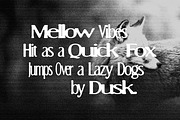 MN Caviere - Blurred Serif Typeface, a Handwritten Font by Mantra Naga (Thumbnail 3 of 15)