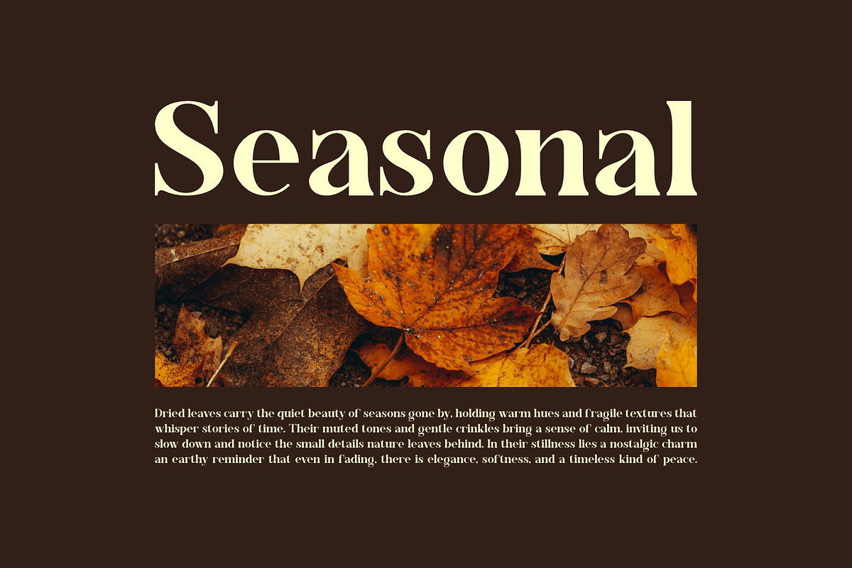 Ebotra || Modern Classy Serif Font, a Serif Font by Ermedia Studio (Photo 8 of 10)